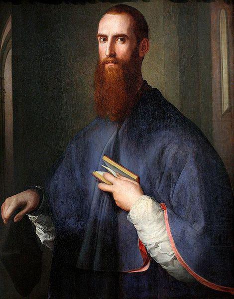 Jacopo Pontormo Portrat des Niccolo Ardinghelli china oil painting image